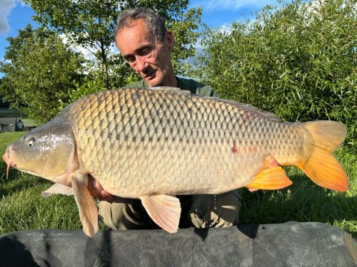 Boilies Pikantní perník