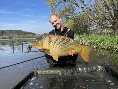 Boilies Tygří ořech