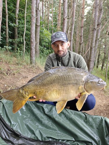 Boilies Pikantní perník