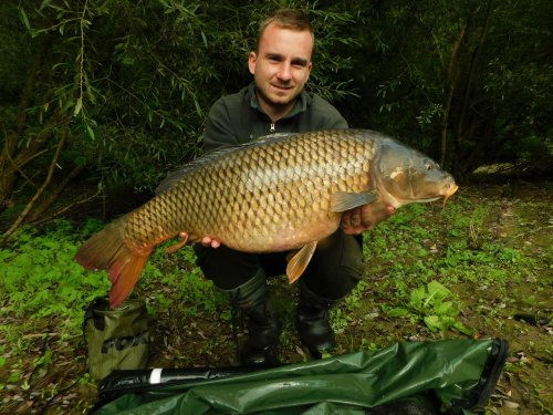 Boilies + pop up Pikantní jahoda, Vranov