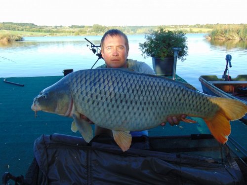 Boilies Pikantní krill