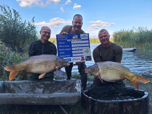 Boilies Pikantní perník