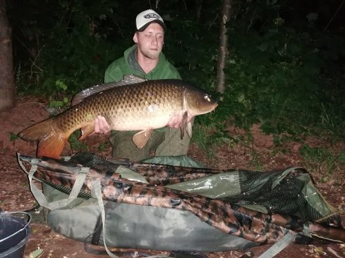 Boilies Krill/Oliheň