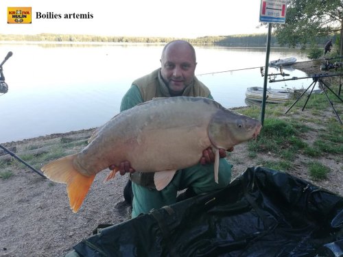 Boilies artemis