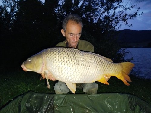 Boilies Pikantní perník