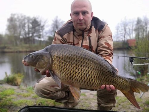 Boilies Pomeranč/Chilli, práškový dip Scopex