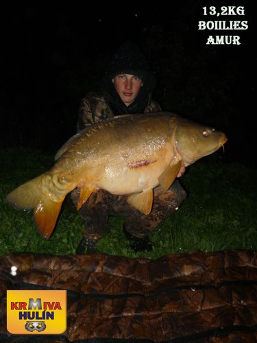 13,2kg, boilies Amur, svazová voda