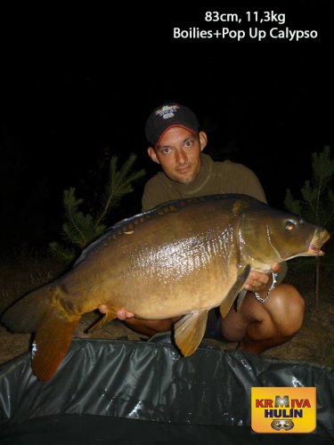 83cm, 11,3kg, boilies Calypso, pop up Calypso