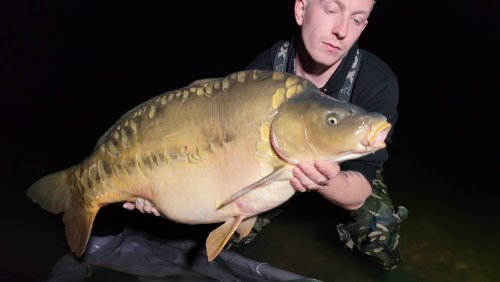 Boilies Tygří ořech