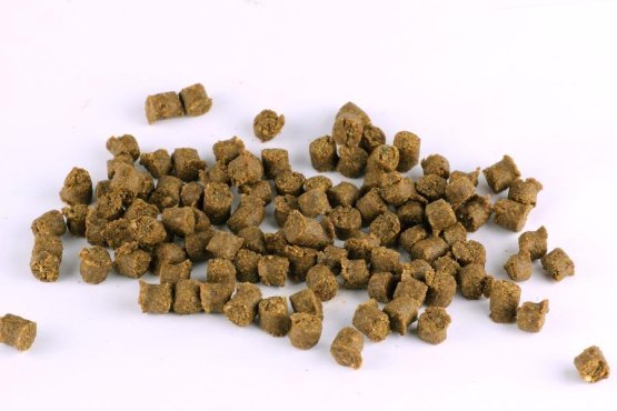 VÝCVIKOVÝ PAMLSEK - Ryba s řasou - zelený 8 mm - Vyberte balení: 250 g