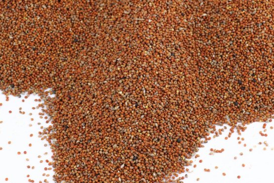 SENEGALSKÉ PROSO - zrno červené - Vyberte balení: 500 g