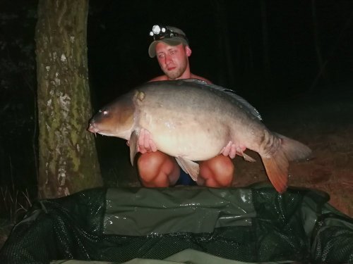 Boilies Krill/Oliheň