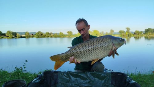 Boilies Pikantní krill