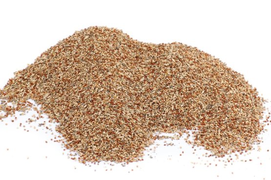 Krmivo Avest - PRO ANDULKY 04 (Avest, KRPA04-1) | Krmiva Hulín Krmivo Avest - PRO ANDULKY 04 (Avest, KRPA04-1) | Krmiva Hulín