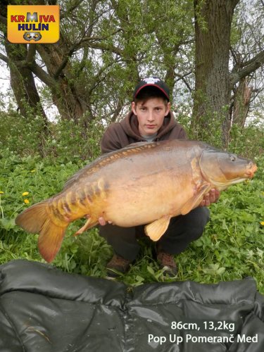 86cm, 13,2kg, pop up Pomeranč/Med, svazová voda