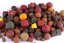 Ekonomik - KRMNÁ SMĚS - Boilies + Pelety Ø 12 - 24 mm - Vyberte balení: 2,5 kg