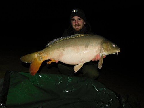 Boilies Pikantní jahoda