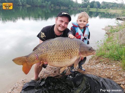 Pop up ananas, zig rig směs krill/švestka