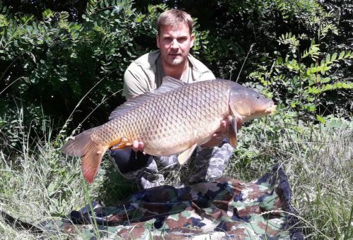 Boilies Calypso
