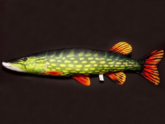 Plyšová ryba Gaby - ŠŤUKA OBECNÁ - 80 cm
