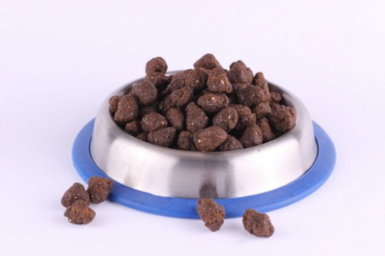 Krmivo pre psov - TRESKA S LOSOSOVÝM OLEJOM - Vyberte balení: 500 g