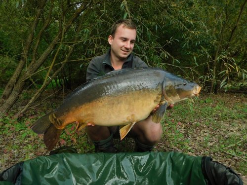 Boilies Švestka s česnekem