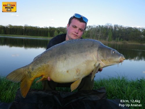 83cm, 12,4kg, pop up Ananas