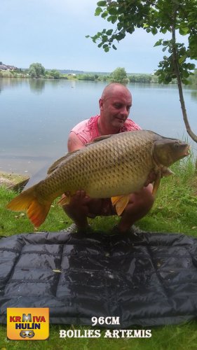 96cm, boilies Artemis