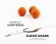 ZFISH Náväzec Curve Shank Carp Rig - Vyberte velikost: Velikost 2