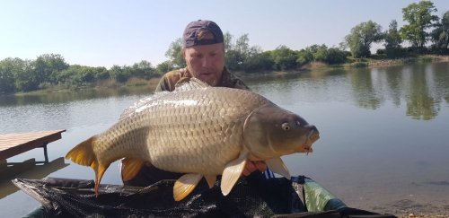 Boilies Pomeranč/Chilli
