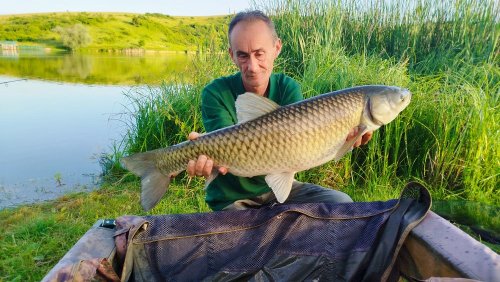 Boilies Pikantní krill