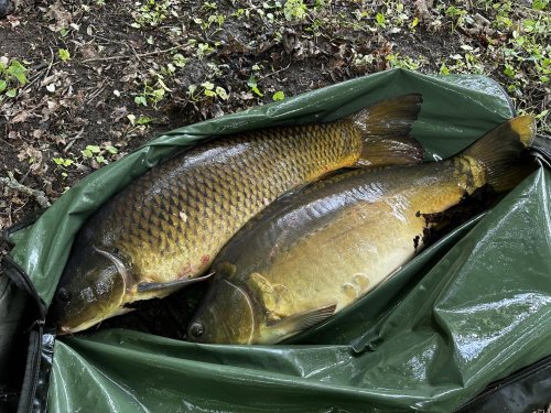 Boilies Pikantní jahoda Boilies Pikantní jahoda