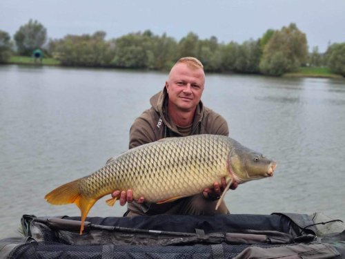 Wafters boilies Calypso