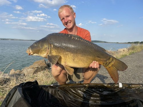 Boilies Krill a oliheň, Pop up Oliheň