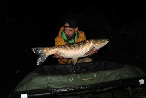Boilies Pikantní perník