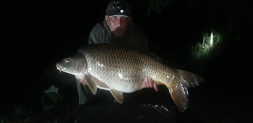 Boilies Pikantní jahoda