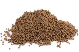 Plovoucí krmivo KOI - Wheat germ - Ø 6 mm (Coppens, PKWG-1) | Krmiva Hulín