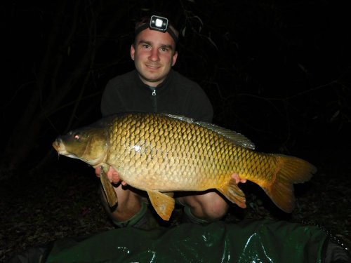 Boilies Švestka s česnekem