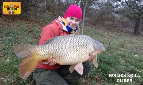 Boilies Krill/Oliheň