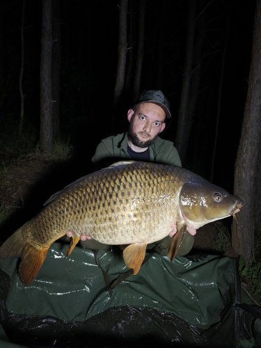 17,4kg, boilies Pikantní perník