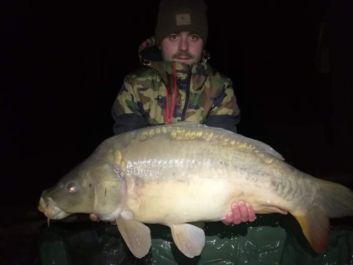 Boilies Krill/Oliheň