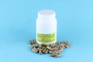 MULTIVITAMÍN FORTE - NA SRST s Biotinem - kapsle 600 mg - pro psy