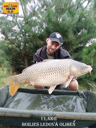 11,4kg, boilies ledová oliheň