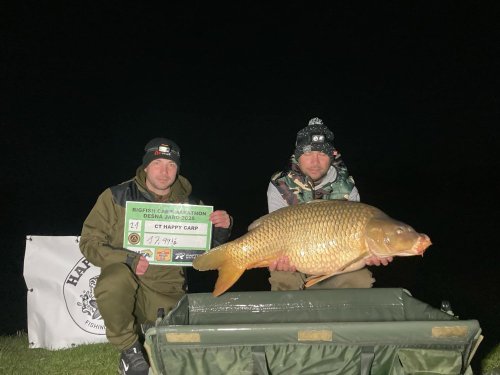 Boilies Calypso