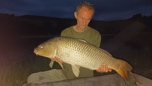 Boilies Frankfurtská klobása
