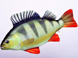 Plyšová ryba Gaby - OSTRIEŽ RIEČNY - 50 cm