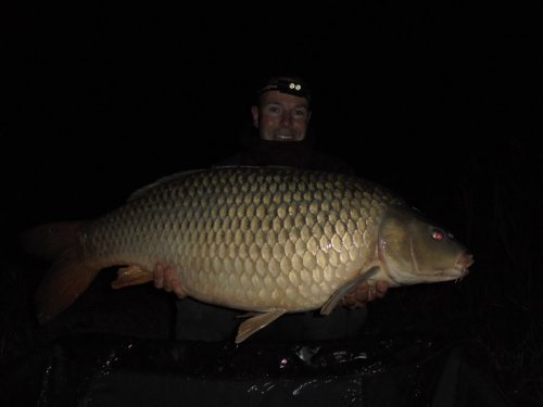 Boilies Pikantní jahoda