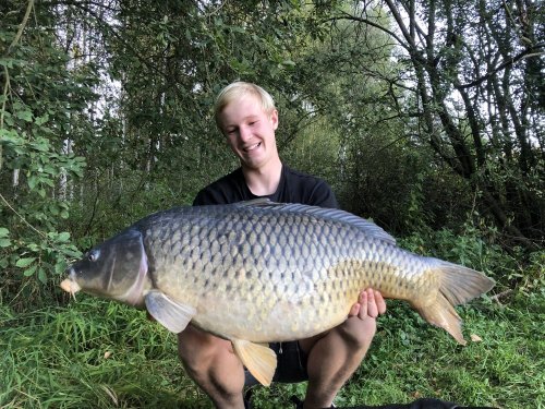 15kg, boilies Pikantní krill