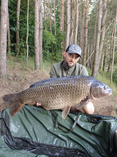 19kg, boilies Pikantní perník