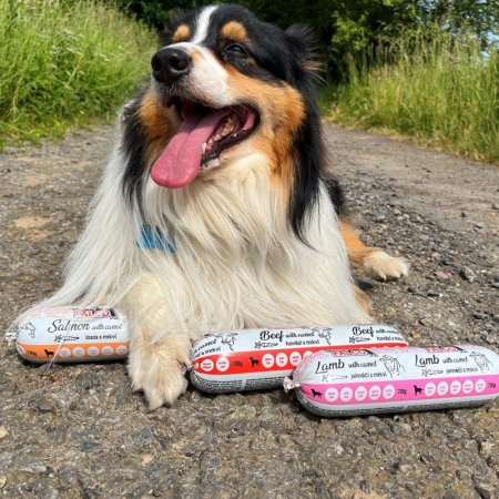 FALCO SALÁM PRO PSY - Jehně s mrkví 700 g